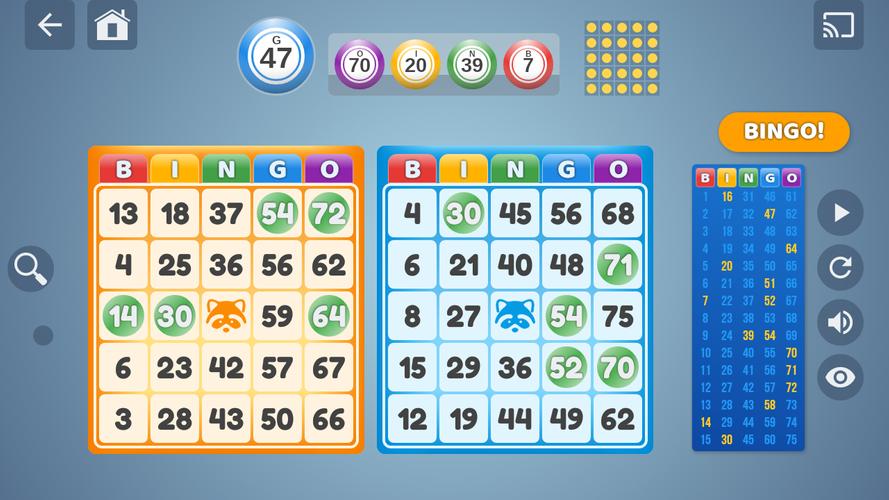 Bingo Set Captura de pantalla 0