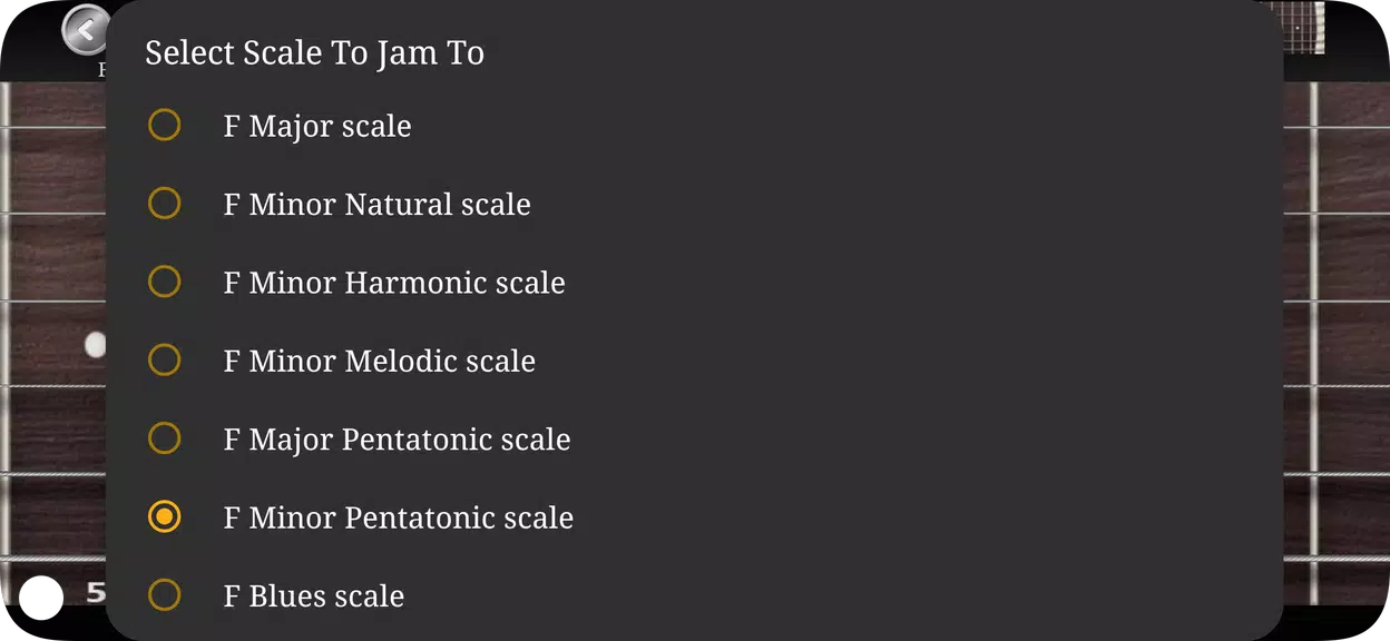 Guitar Scales & Chords Ekran Görüntüsü 2