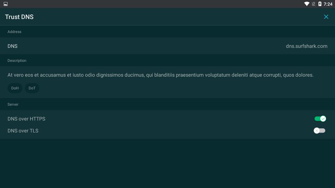 Trust DNS应用截图第3张