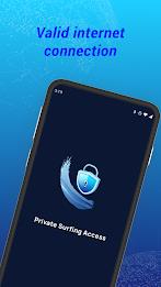 Private VPN - Surf Access Скриншот 0