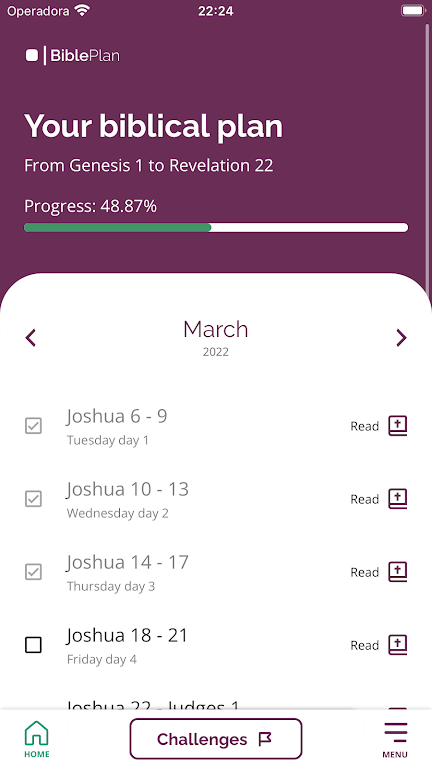 Customized Biblical Plan ภาพหน้าจอ 1