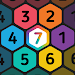 Make7 Hexa Puzzle