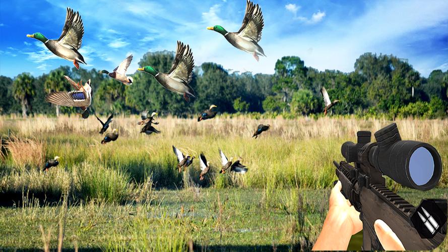Duck Hunting Challenge应用截图第1张