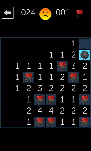 Minesweeper Fun Ảnh chụp màn hình 1