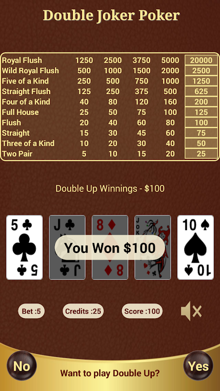 Double Joker Poker Tangkapan skrin 2