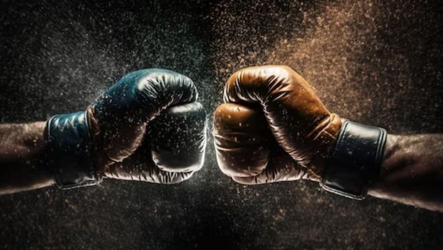 Mr zelgha fight city ภาพหน้าจอ 1