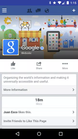 Schermata Tinfoil for Facebook 0