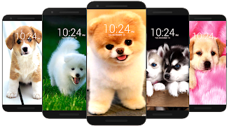 Dog Wallpaper HD應用截圖第0張