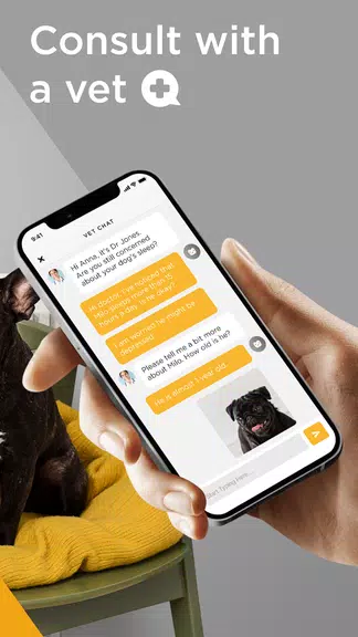 Petcube スクリーンショット 3