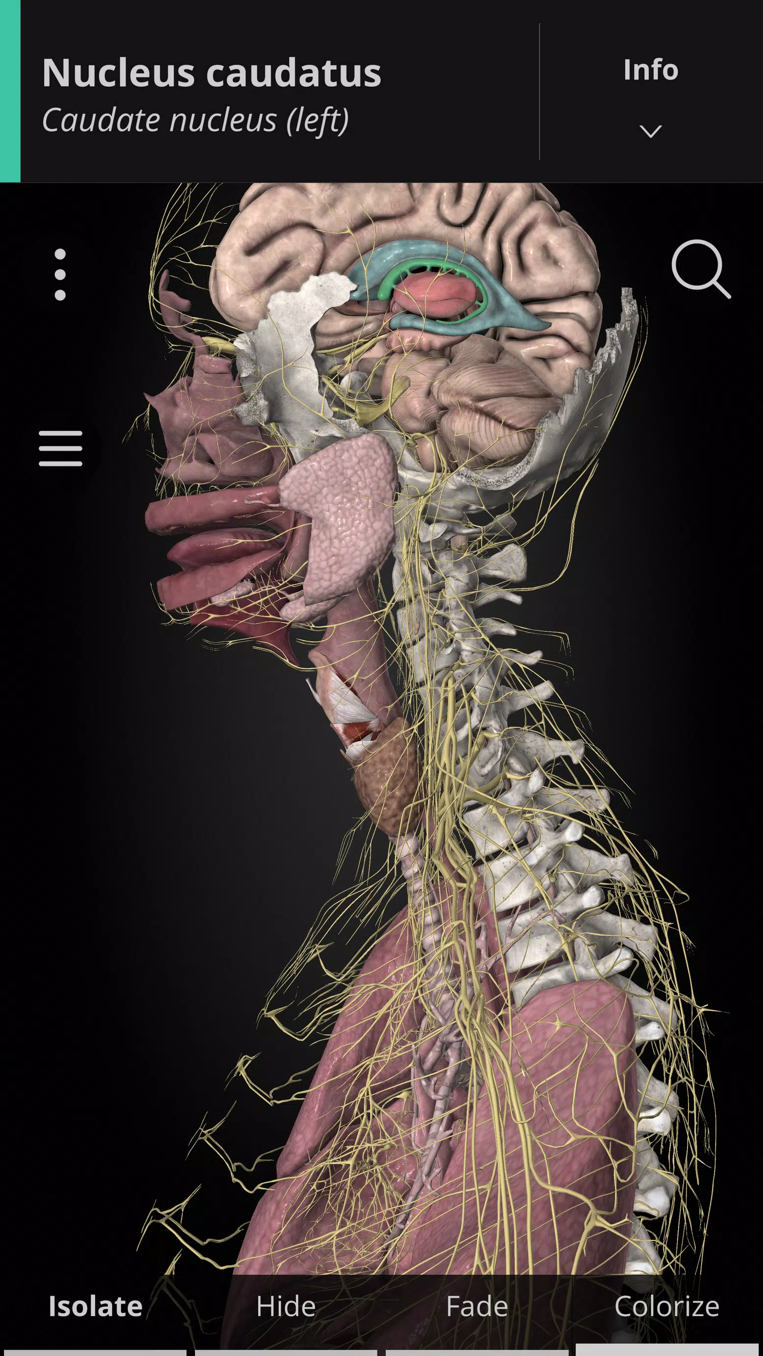 Anatomyka - 3D Anatomy Atlas স্ক্রিনশট 0