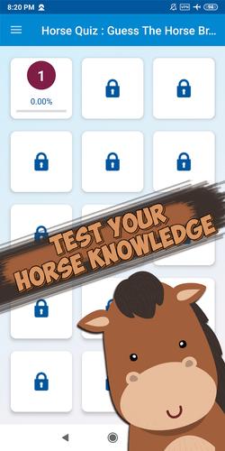 Guess the horse breed 스크린샷 1
