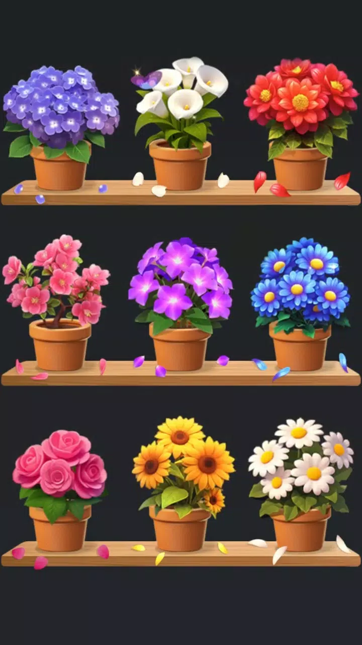 Floral Sort 3D