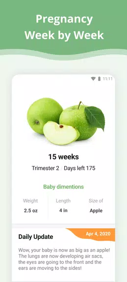 Pregnancy App Captura de tela 0