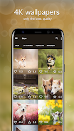 Dog Wallpapers & Puppy 4K Tangkapan skrin 1