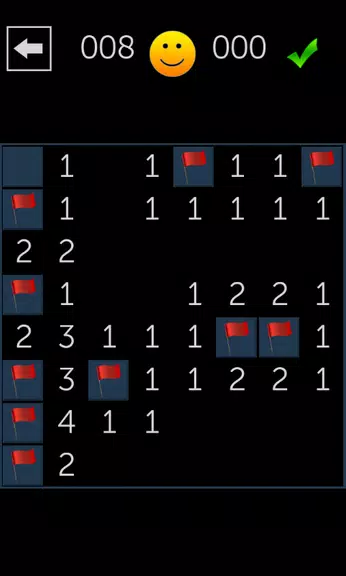 Minesweeper Fun应用截图第0张