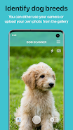 Dog Scanner: Breed Recognition ภาพหน้าจอ 0