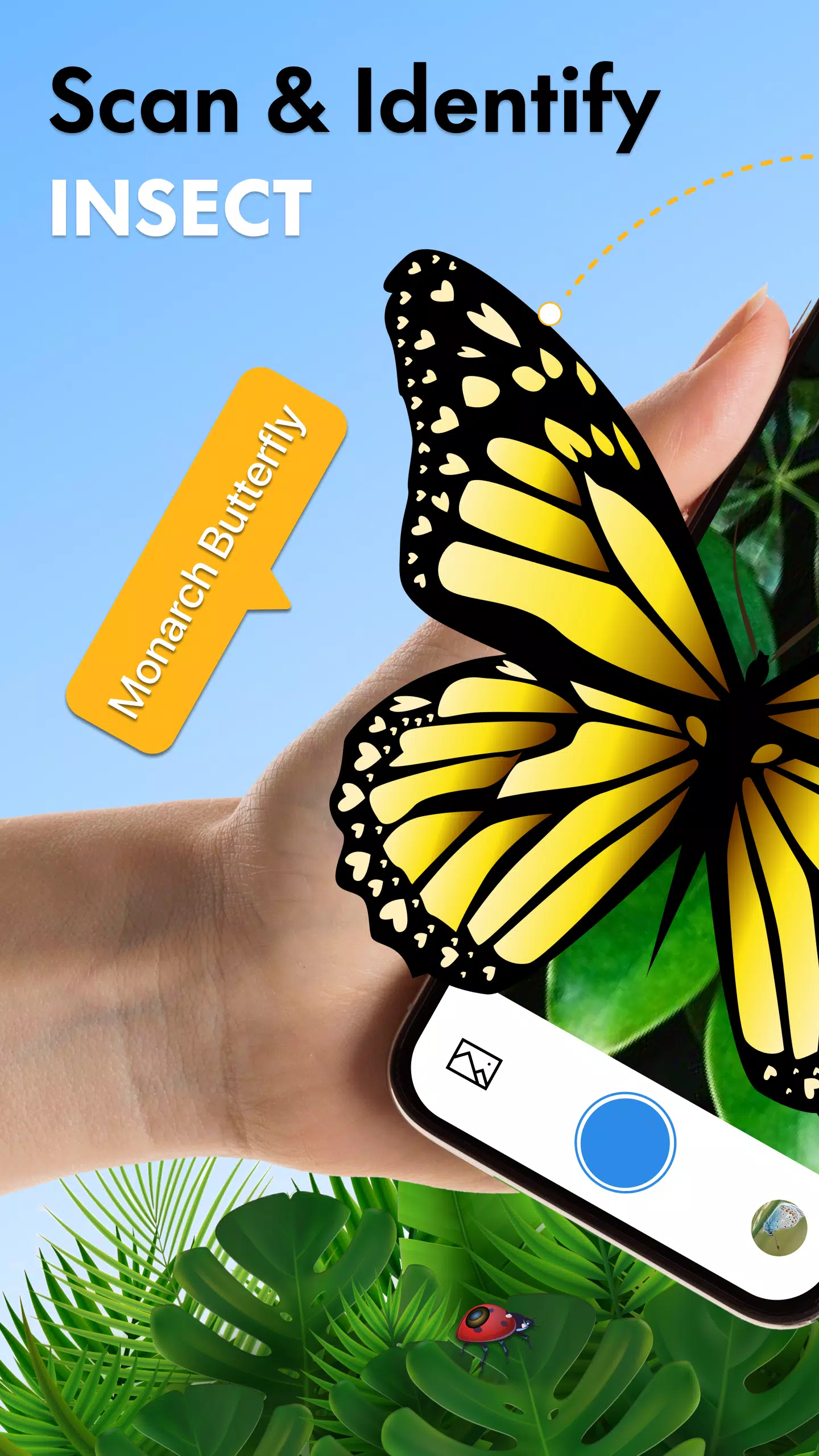 Insect Identifier Bug Identify Capture d'écran 0