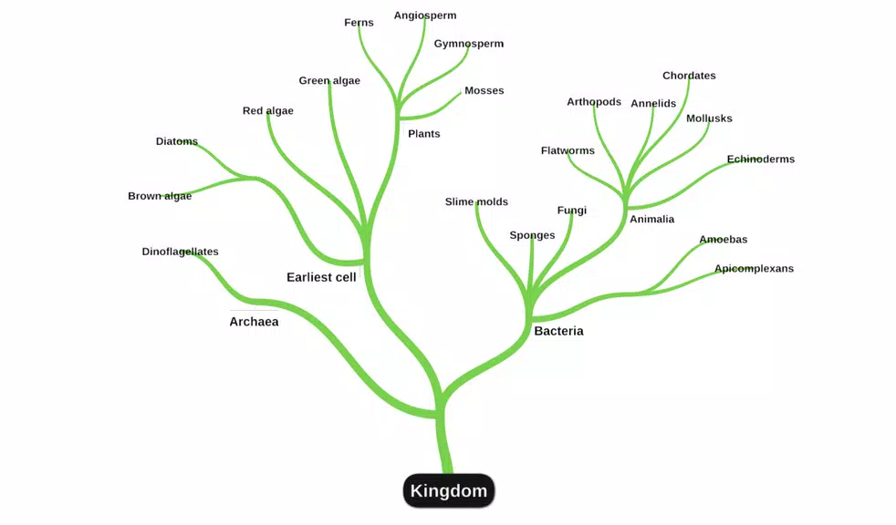 miMind - Easy Mind Mapping Captura de pantalla 1