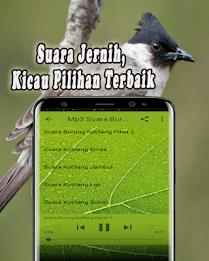 Suara Burung Kutilang Offline স্ক্রিনশট 3