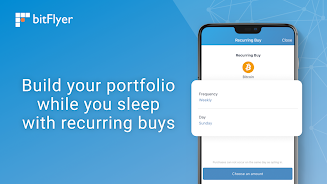 Schermata bitFlyer Cryptocurrency Wallet 2