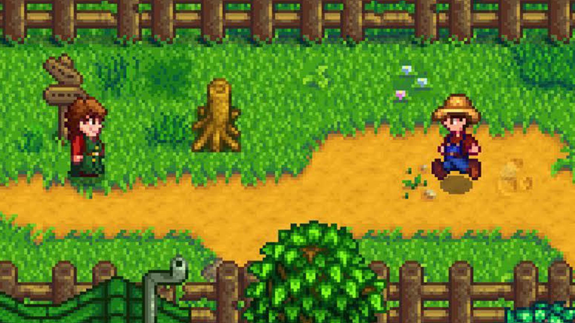 Stardew Vadisi