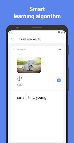 Learn Chinese with flashcards!应用截图第0张