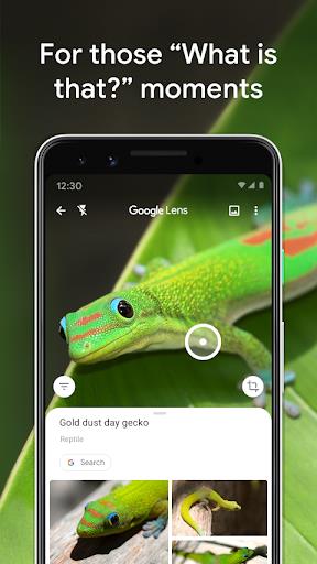Google Lens Captura de pantalla 0