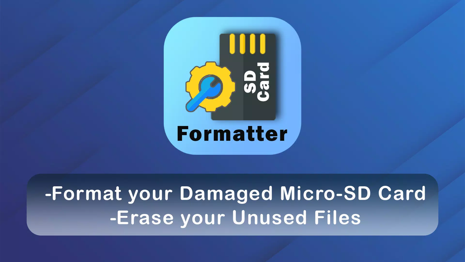 Micro SD Card formatter Ảnh chụp màn hình 0