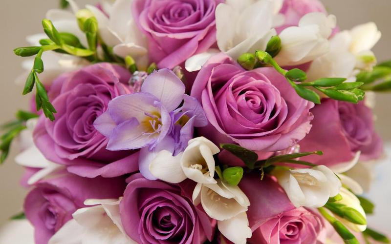 Roses Jigsaw Puzzles应用截图第1张
