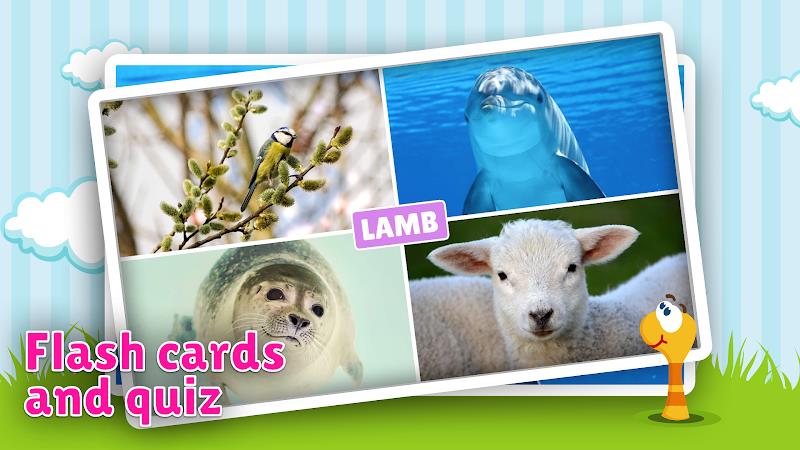 Animal flashcard & sounds Скриншот 1