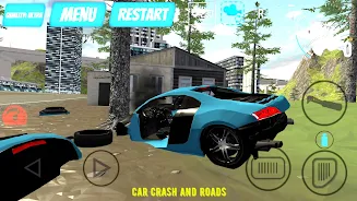 Car Crash And Roads ภาพหน้าจอ 0