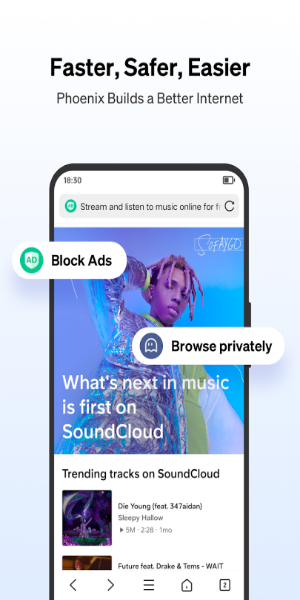 Phoenix Browser - 高速で安全 スクリーンショット 0