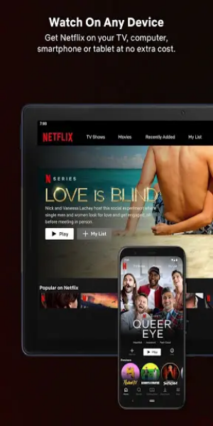 Netflix Premium Unlocked Screenshot 1