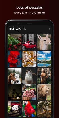 Sliding Puzzle Capture d'écran 1