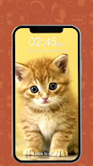 Kitty Cat Pin Lock Screen Screenshot 0