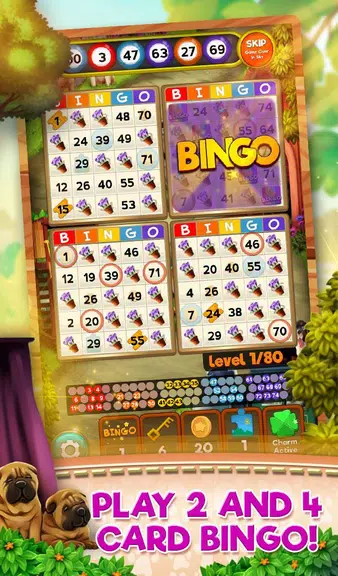 Bingo Pets Party: Dog Days スクリーンショット 0