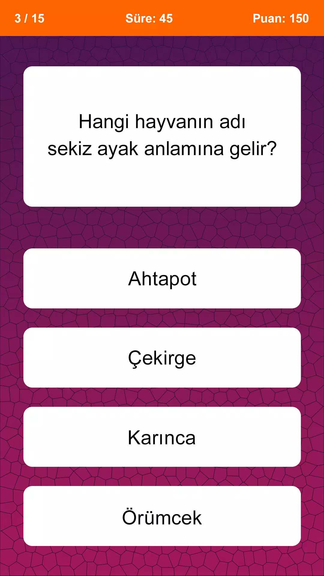 Bilgi Yarışması应用截图第0张