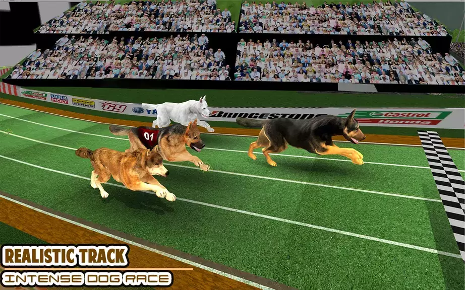 Dog racing games - dog game 3d Скриншот 0