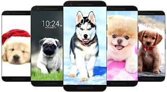 Dog Wallpaper HD應用截圖第1張