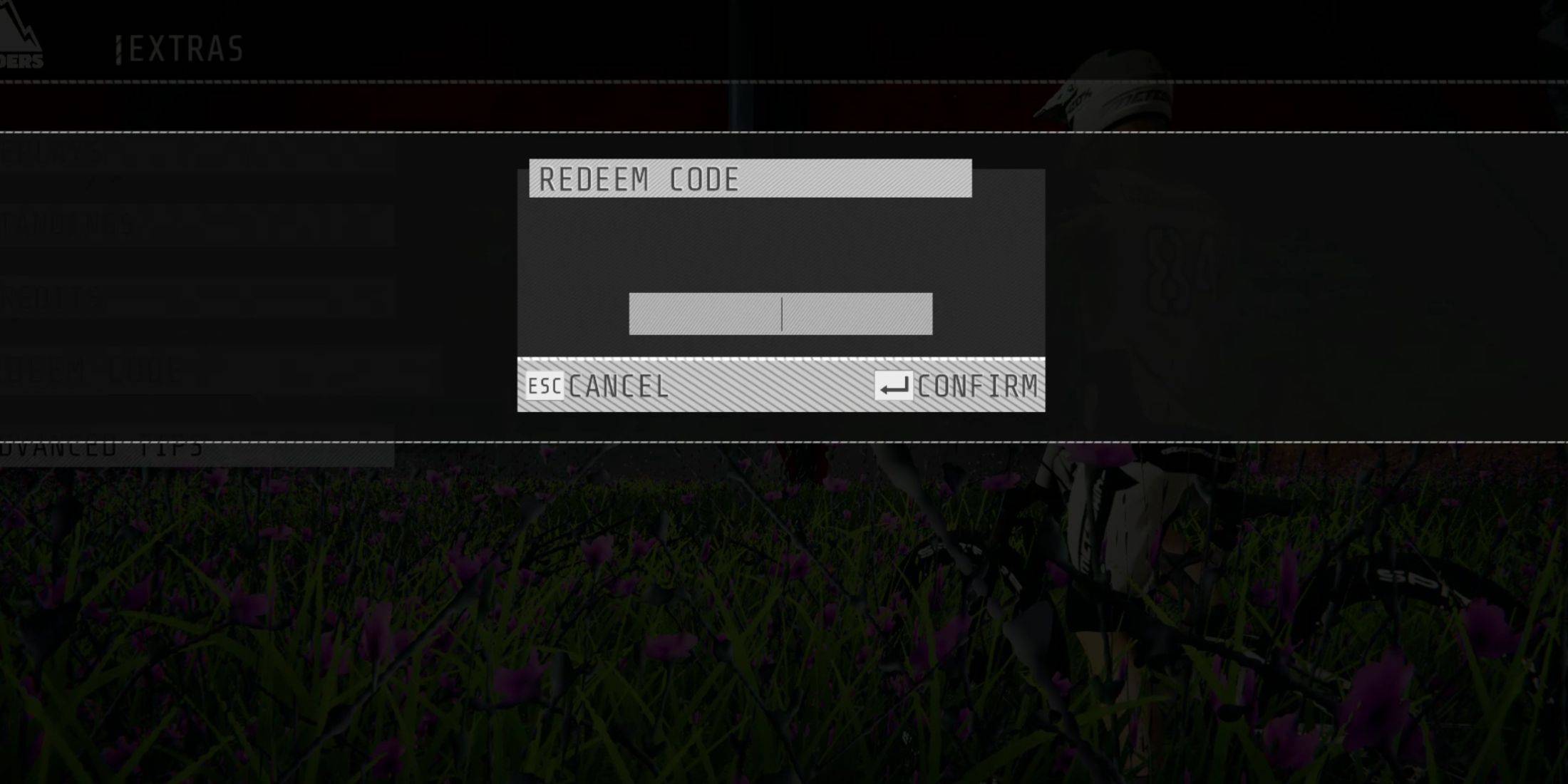 Image: In-game code redemption screen