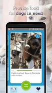 feed a dog: animal welfare 스크린샷 2