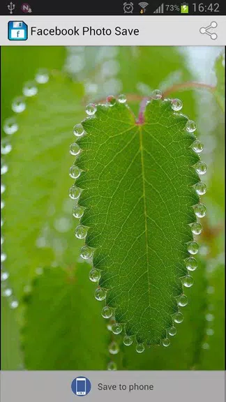 Schermata Photo Saver for Facebook 2