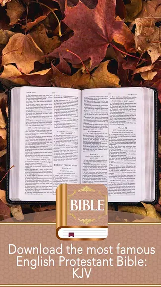 KJV Bible Captura de tela 2