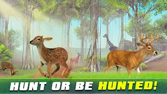 Safari Animal Hunter Simulator Zrzut ekranu 3