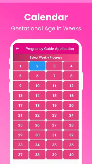 Pregnancy Guide - A Mom Ảnh chụp màn hình 3