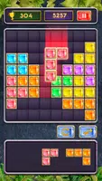 Block Jewel: Brick Puzzle Game Ekran Görüntüsü 0