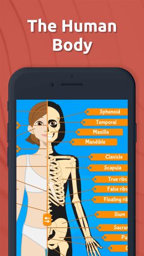 Human Anatomy - Body parts Скриншот 0