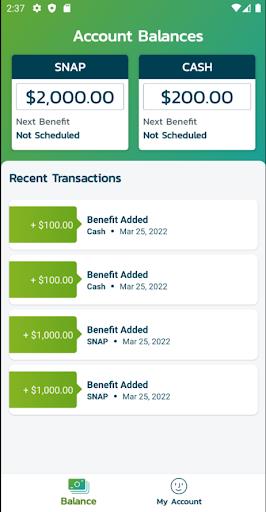 LifeInCheck EBT Screenshot 2