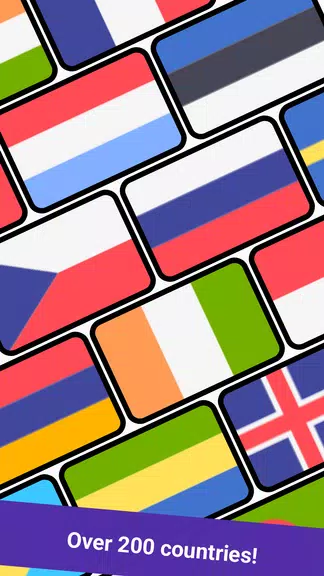 Geomi — Flags & Countries Zrzut ekranu 1