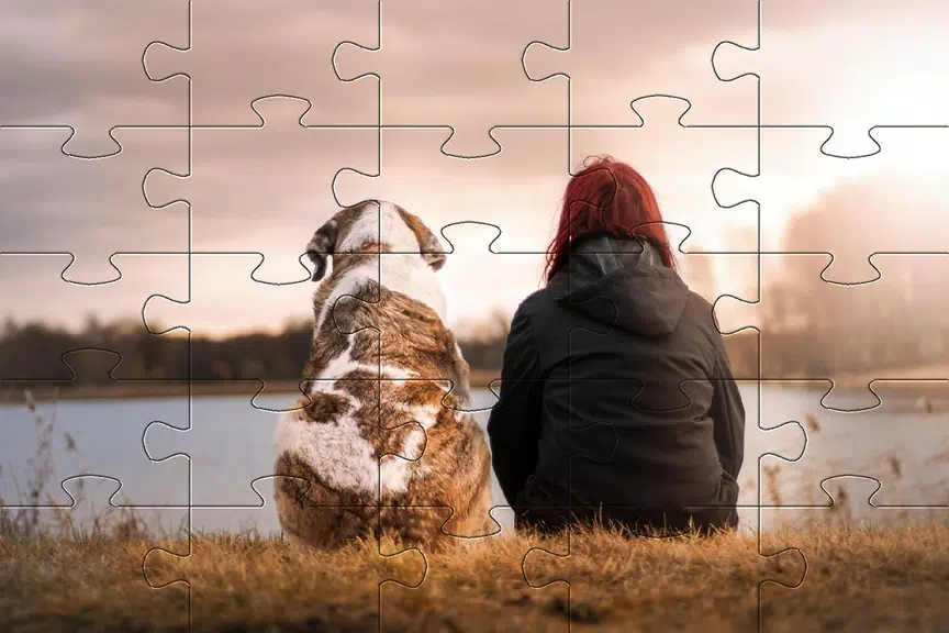 Jigsaw puzzle without internet Captura de pantalla 3